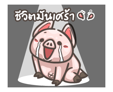 พิกุ - เฟรนช์ บูลด็อก 5 รูปที่ 7