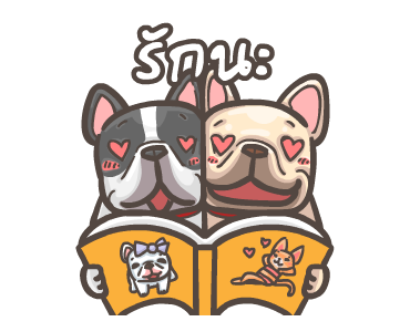 พิกุ - เฟรนช์ บูลด็อก 5 รูปที่ 11