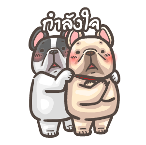 พิกุ - เฟรนช์ บูลด็อก 5 รูปที่ 13