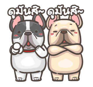พิกุ - เฟรนช์ บูลด็อก 5 รูปที่ 20