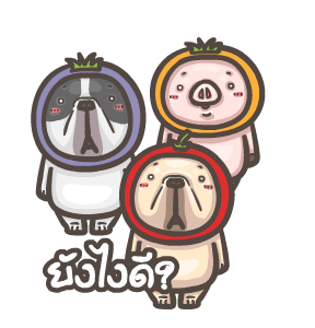 พิกุ - เฟรนช์ บูลด็อก 5 รูปที่ 21