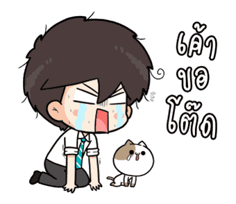 ลายที่ 11