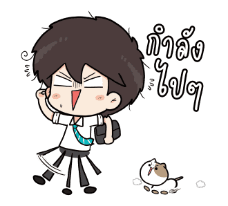 ลายที่ 13