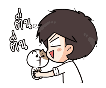 ลายที่ 20