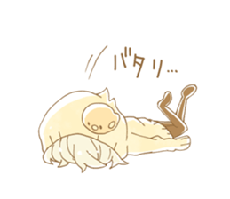 9242116
