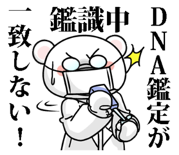 9264210