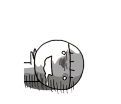 9269711