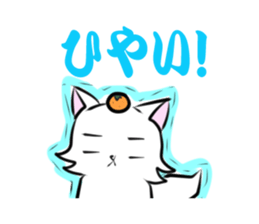 929462