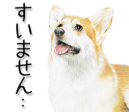 9306080