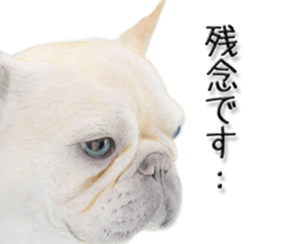 9306081