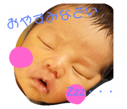 93374558