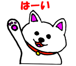 9350039