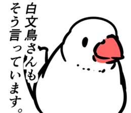 9355004