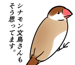 9355005
