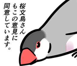 9355006