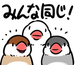 9355007