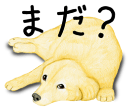 9358335