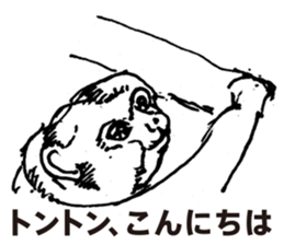 9359240