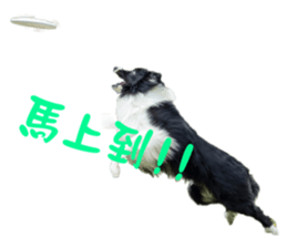93607796