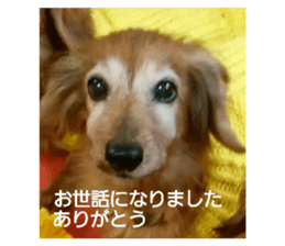 93756404