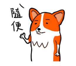9380906