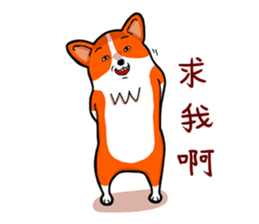 9380907