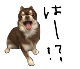 93860014