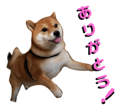 94024998