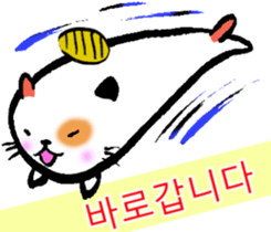 9402519