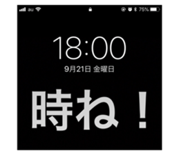 94080116
