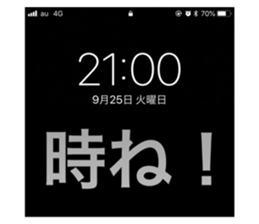 94080119