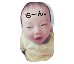 94091906