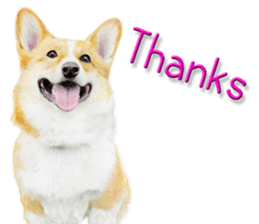 9453369