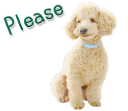 9453374