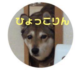 94567890