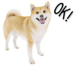 9457808