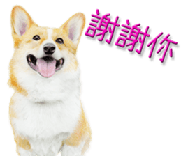 9457809