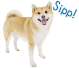 9458728