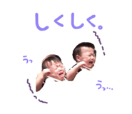 94631992
