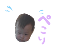 94631994