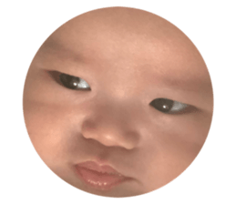 94653269