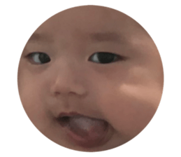 94653279