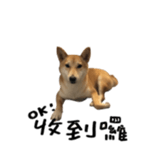 94793623