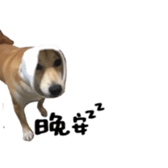 94793628