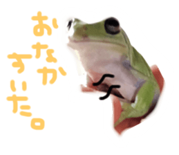 94802050