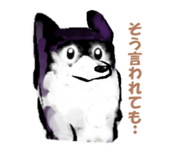 9487200