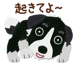 9495505