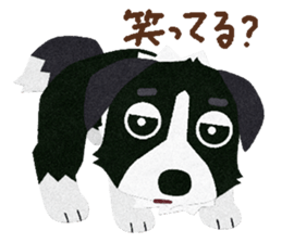 9495519