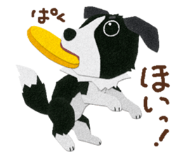 9495531