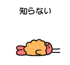 95097484